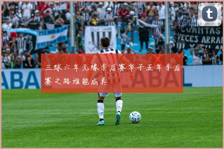 三球六年无缘季后赛华子五年季后赛之路谁能成真