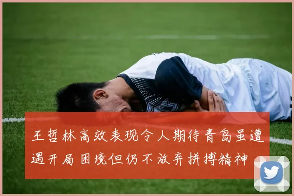 王哲林高效表现令人期待青岛虽遭遇开局困境但仍不放弃拼搏精神